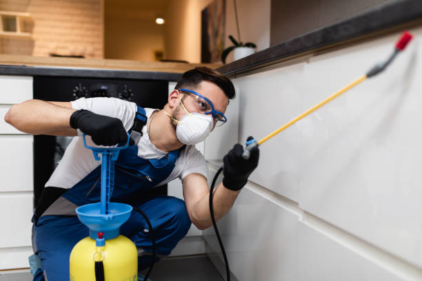 Wasp Removal Services in Oakland, MD