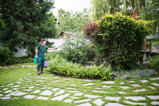 Best Best Pest Control Companies  in Oakland, MD