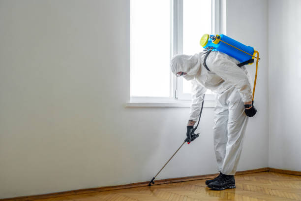 Best Emergency Pest Control  in Oakland, MD